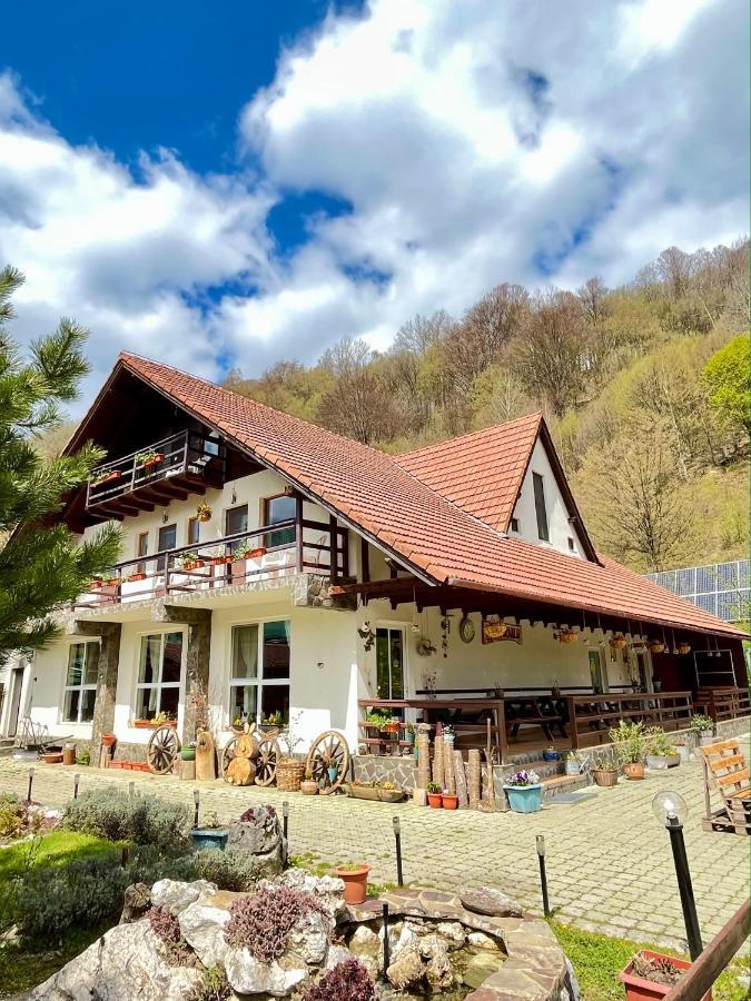 Pensiunea Piatra-Craiului Zărneşti Eksteriør billede